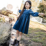 Teela Navy Velvet Dress