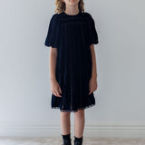 Petite Amalie Navy/Black Vertical Lace Velvet Dress