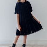 Petite Amalie Navy/Black Vertical Lace Velvet Dress