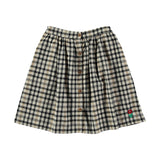 Picnik Check Oxford Skirt