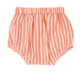 Wander & Wonder Coral Stripe Bloomers