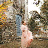 Soiree Blush Sarina Gown