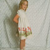 Bace White/Tan Striped Floral Collar Dress