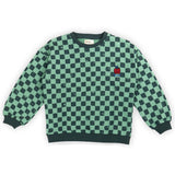 Wander & Wonder Green Check Sweatshirt