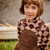Parni Brown Casual Argyle Turtleneck