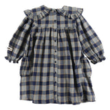 Loud Indigo Check Loyal Dress