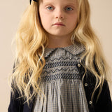 Analogie Dried Blue Plaid Edition Dress