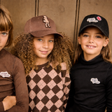 Parni Brown Solid Turtleneck