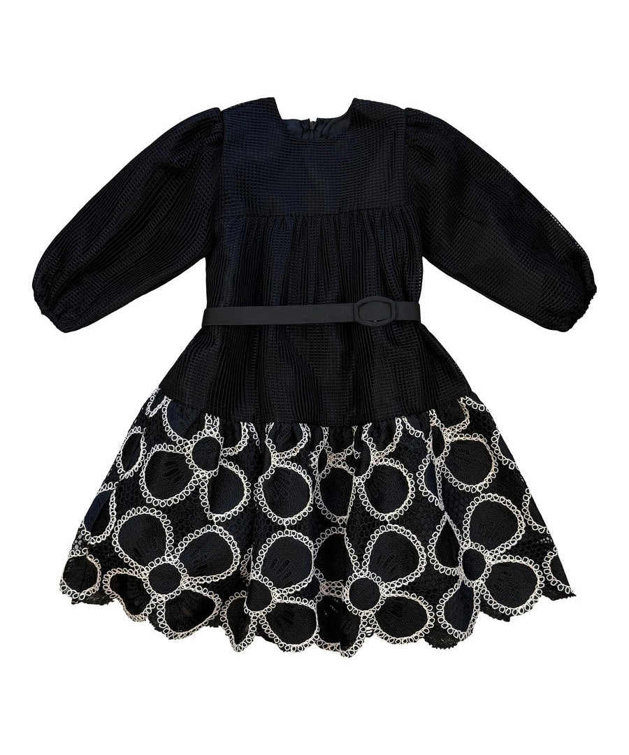 Alitsa Black Mesh Dress