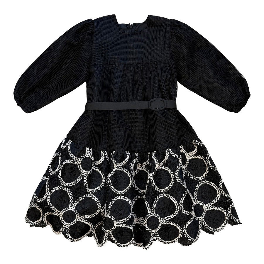 Alitsa Black Mesh Dress