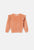 My Little Cozmo Pink Polka Dot Velour Emanuel Sweatshirt