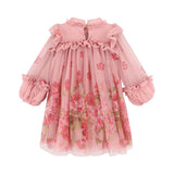 Angel Face Tea Rose Border Print Nadiya Dress