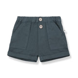 1+ In The Family Petroleum Peris Shorts
