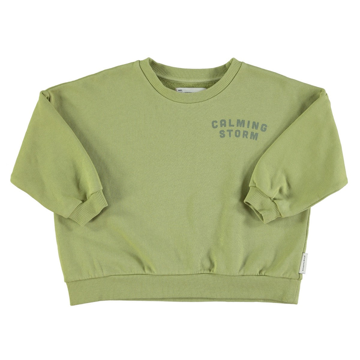 Piupiuchick Sage Green Calming Storm Sweatshirt