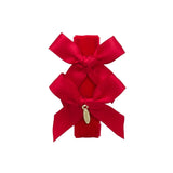 Project 6 Red Releve Snap Clip