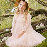Nellystella Orchid Ice Alice Dress