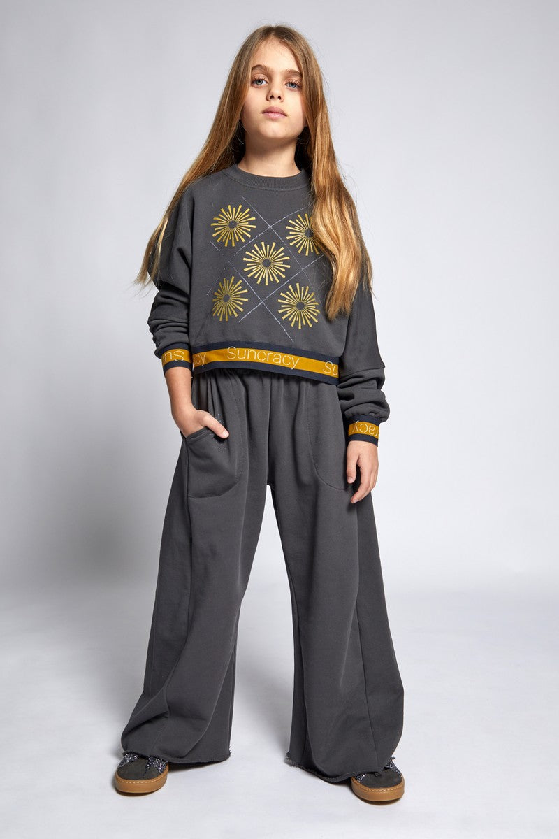 Suncracy Grey Sun Cropped Sweatshirt