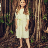 Teela Lime Embroidery Dress