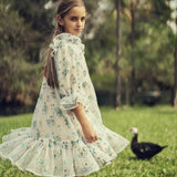 Teela Multicolor Embroidered Tulle Dress
