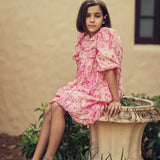 Teela Pink Paisley Dress