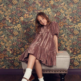 Teela Rose Crushed Velvet Dress