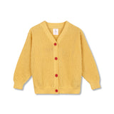 Wynken Soleil Airy Cardigan